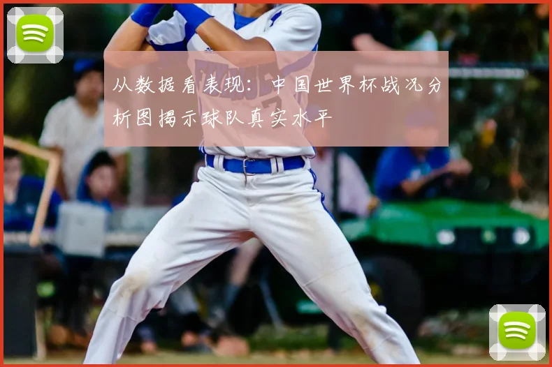 从数据看表现：中国世界杯战况分析图揭示球队真实水平