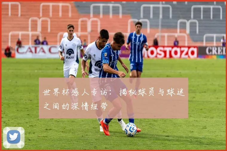 世界杯感人专访:揭秘球员与球迷之间的深情纽带