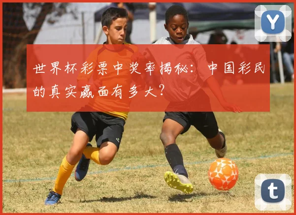 世界杯彩票中奖率揭秘：中国彩民的真实赢面有多大？