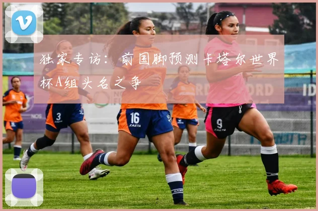 独家专访：前国脚预测卡塔尔世界杯A组头名之争